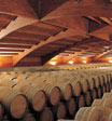 Barrel cellar at Chivite Winery, Cintruénigo