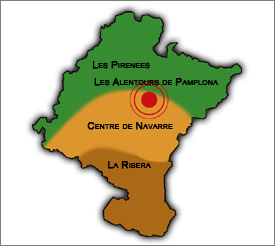 Mapa zonas Navarra